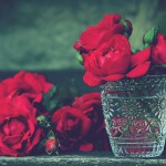rose rosse